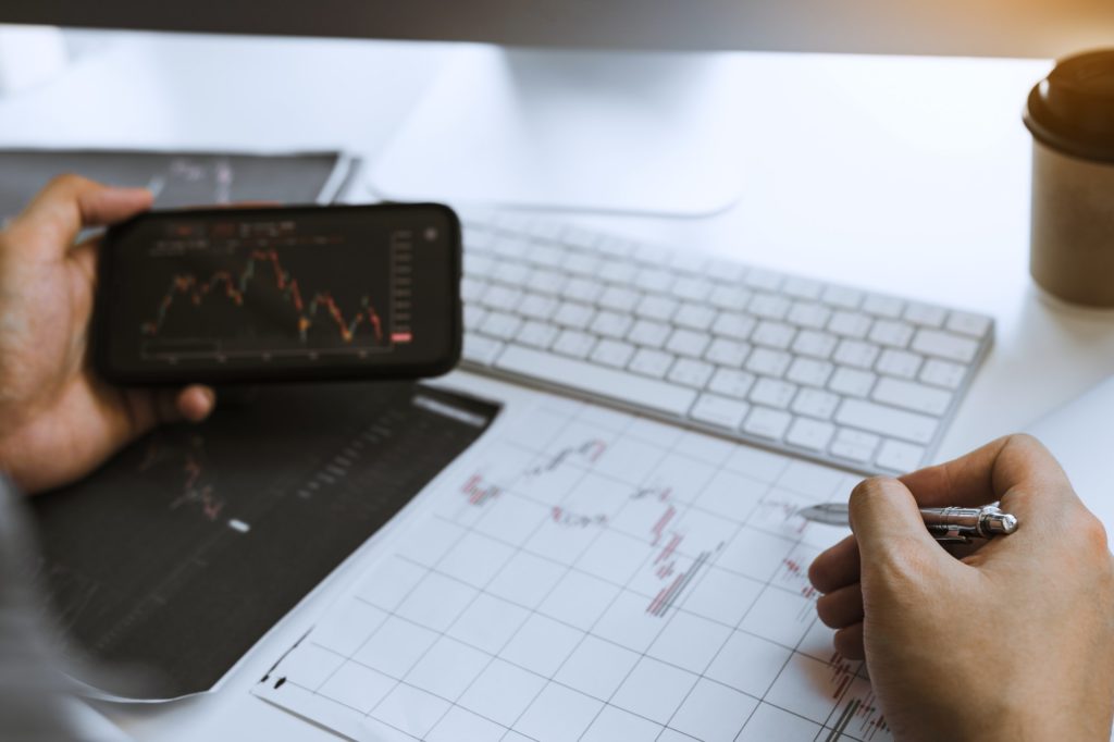 Personal borrower checking financing information by phone